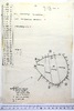 16389