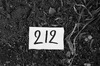 68363