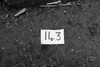 68589