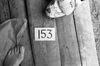 68765