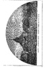 Gravure: Aden Le steamer point - D'après un dessin du P.R. Leroy