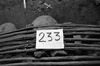 71281