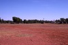 House from the east side (football ground)