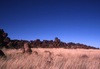 yarduyardurlu; Travelling and camping  with the Menzies family