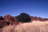 yarduyardurlu; Travelling  and camping  with the Menzies family