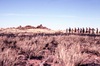 Walk to 'snake' place as the jukurrpa (Dreamtime) women did; Making a video to protect Yarturluyarturlu