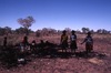 Group of women, Hunting (wirliniyi), digging for yam & goanna 