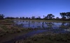 Waterhole, Camping with the Gibson family