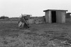 Yawulyu, women ceremonies, Lajamanu 1984 (B/W photos 2)