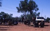 Meeting in the park, in front of the shop