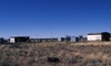 Camping with the Barbara Gibson family in their outstation