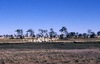 Camping with the Barbara Gibson family in their outstation