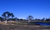 Camping with the Barbara Gibson family in their outstation