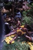 Lajamanu men paint themselves for Jurntu purlapa.  Public performance for NAIDOC