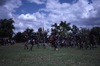 Bamyili men dance. Public performance for NAIDOC	