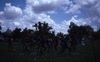 Bamyili men dance. Public performance for NAIDOC