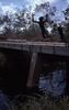 Boys jump in Katherine river