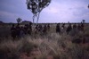 women walking near sacred hill long hill (yunta = windbreak) of Kurlungalinpa, country for Nungarrayi and Napaljarri