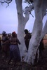 Ritual cleansing with Napangardi/Napanangka