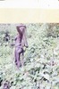 Jablonko Maring 1963 012 